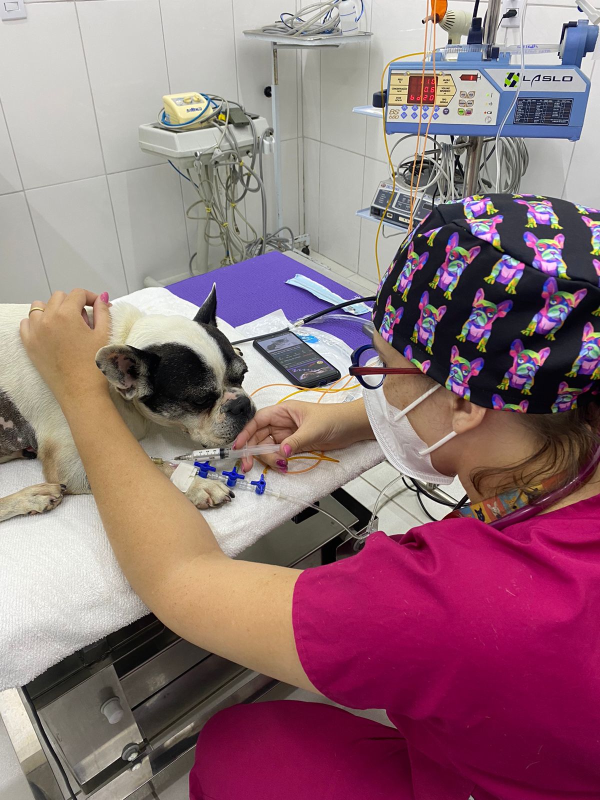 Profissionais qualificados e capacitados para atender aos pets. Na imagem aparece a Médica Veterinária Paula durante o curso de Pós em Anestesiologia