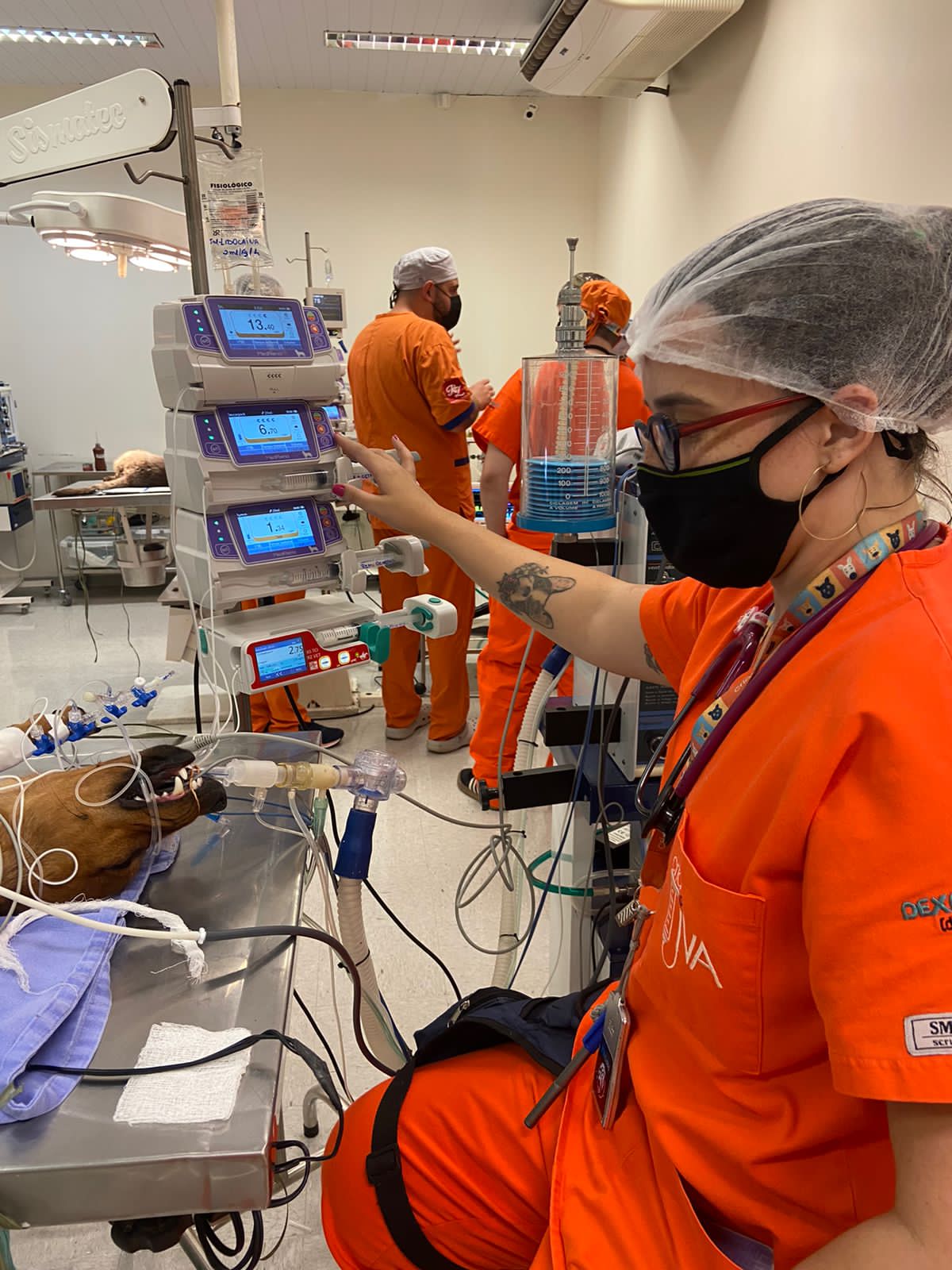 Procedimentos únicos e protocolos especializados. Na imagem aparece a Médica Veterinária Paula estabelecendo um protocolo e cuidadno de um pet
