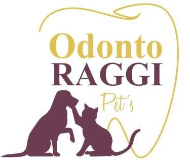 Logo da parceira - Odonto Raggi